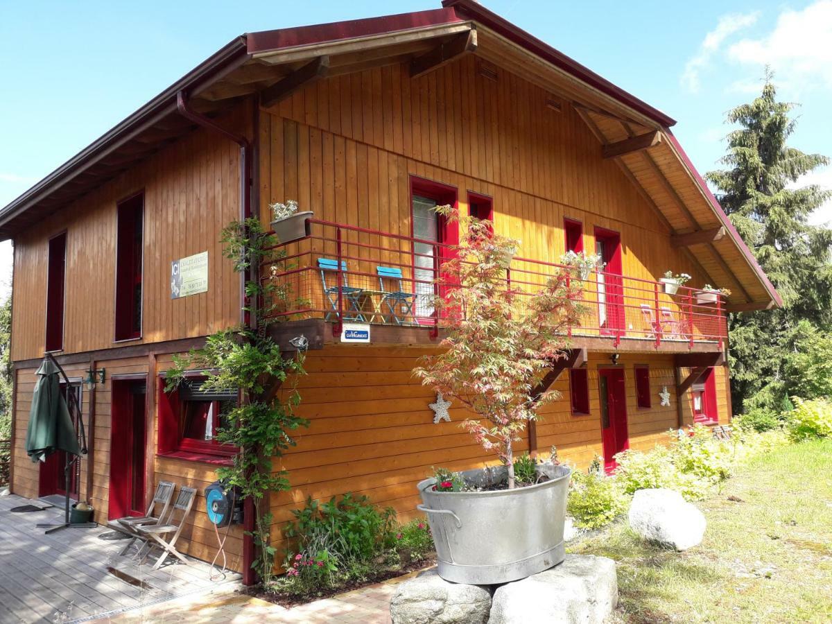 Chalet Luxe 12 Personnes Spa Sauna Vosges-Gerardmer Le Tholy Εξωτερικό φωτογραφία